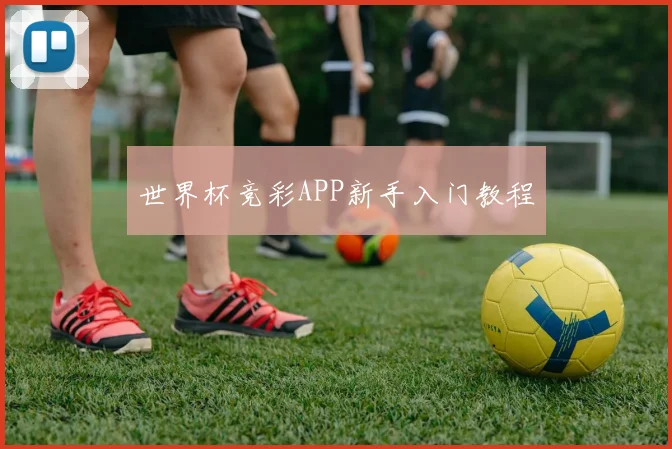 世界杯竞彩APP新手入门教程