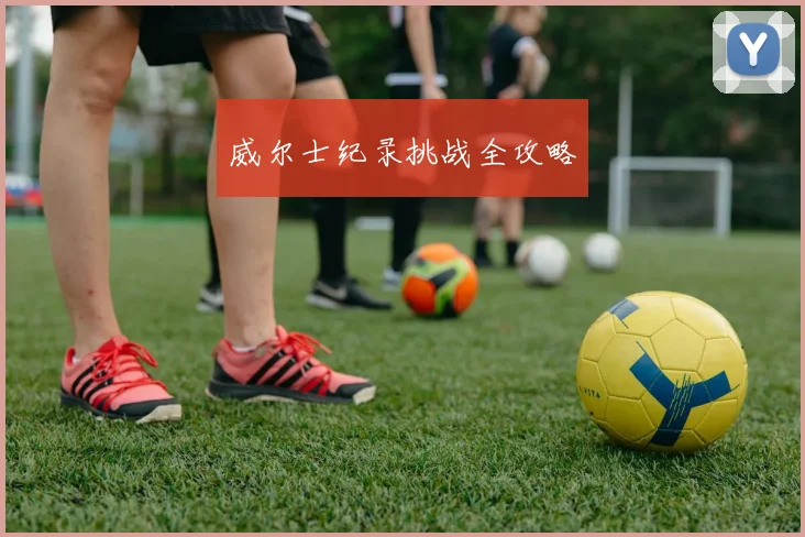 威尔士纪录挑战全攻略